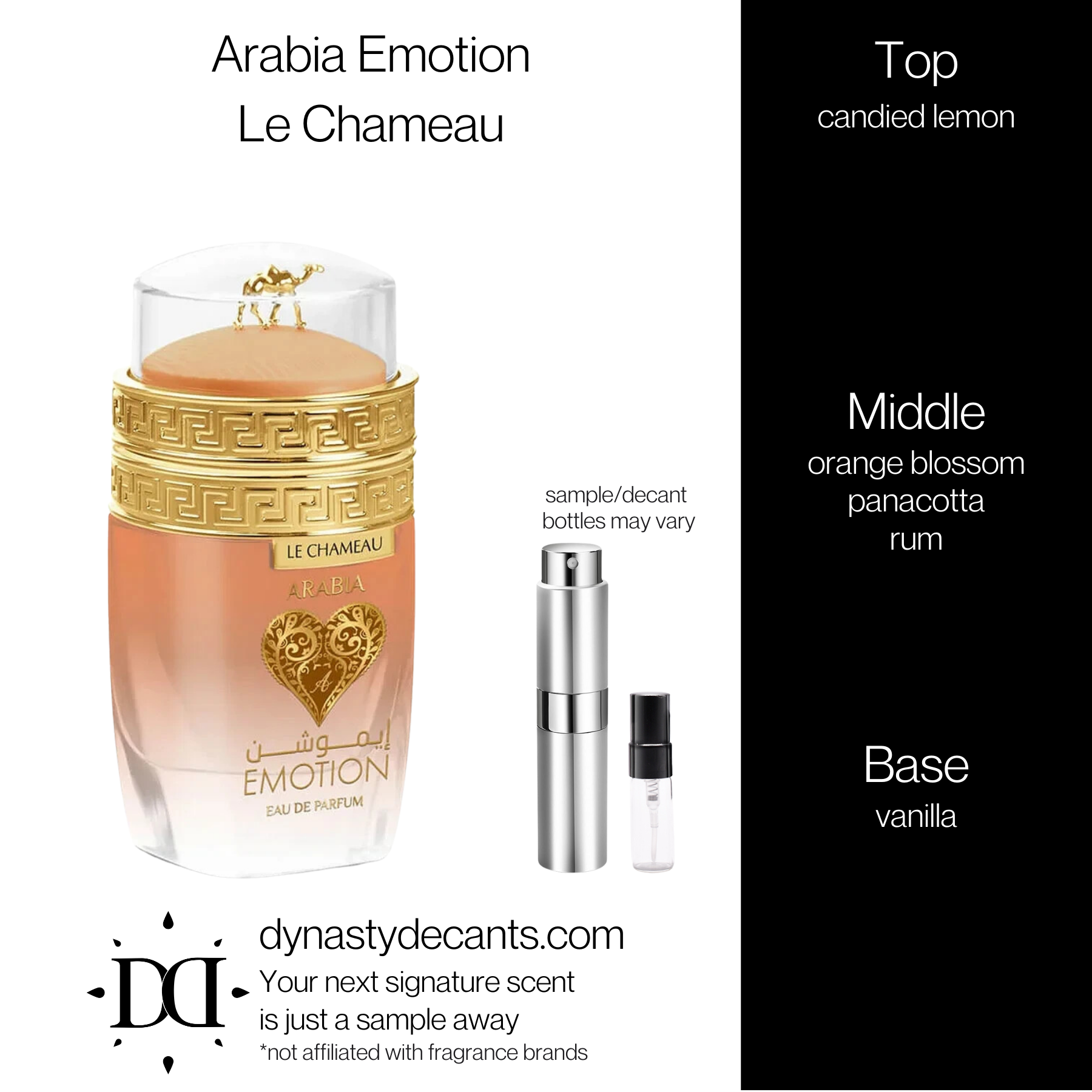 Arabia Emotion - Le Chameau